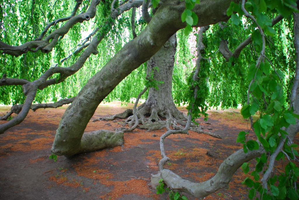 DSC_1128.JPG